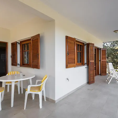The Olive House *