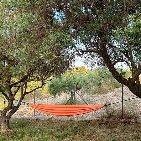 The Olive House Paliouri