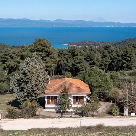 The Olive House
